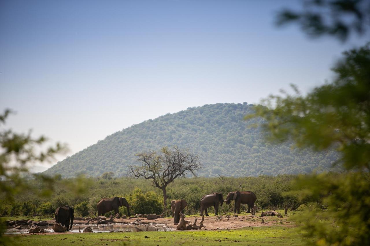 Jamala Madikwe Villa Madikwe Game Reserve Eksteriør billede